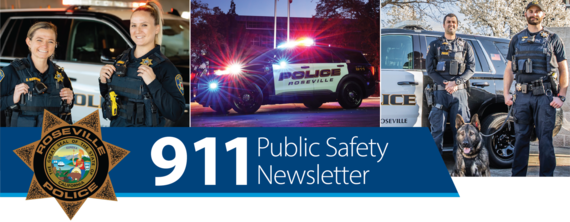 Police Public Safety header banner