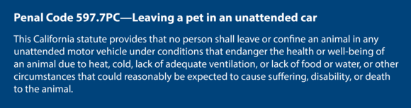 Dog left in car penal code