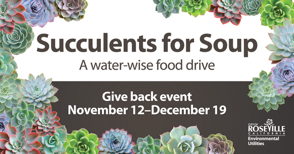 Succulents for Soups: a water-wise food drive. Give back event. November 12 - December 19.
