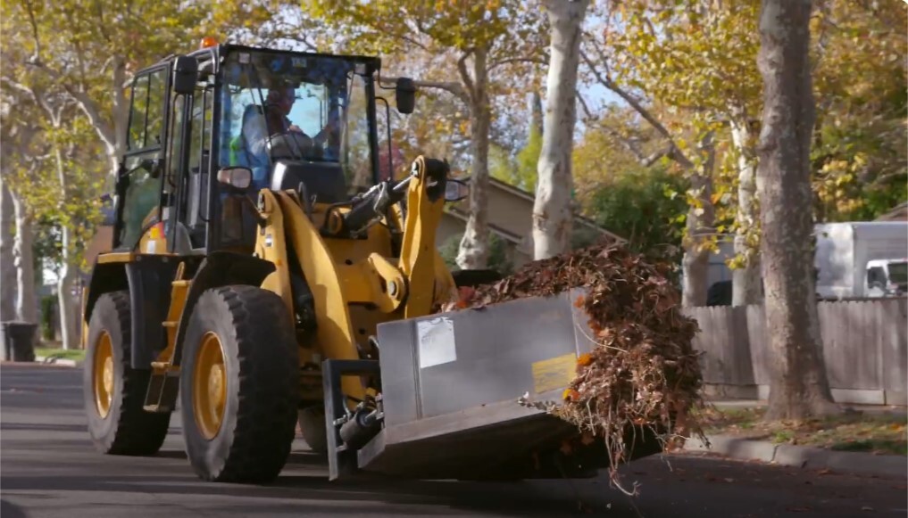 A large pile of leaves is collected from the curbside.