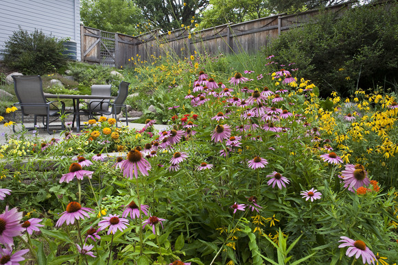 Photo of a backyard patio, with flower bushes planted all around the patio perimeter