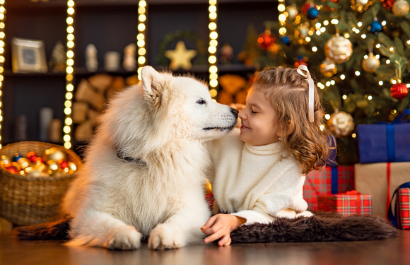 Photo of a dog and a young girl bumping their noses together and they lay in front of a lit Christmas tree