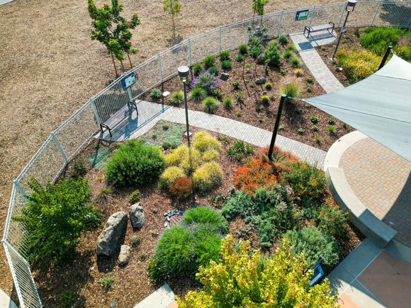 Aerial photo of the Inspiration Garden. Various native bushes blossom in colors of deep green, orangey reds, and soft purples.