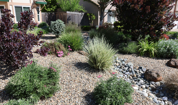 Water-wise front yard featuring drought-resistant bushes, shrubs, bark, and river rock.
