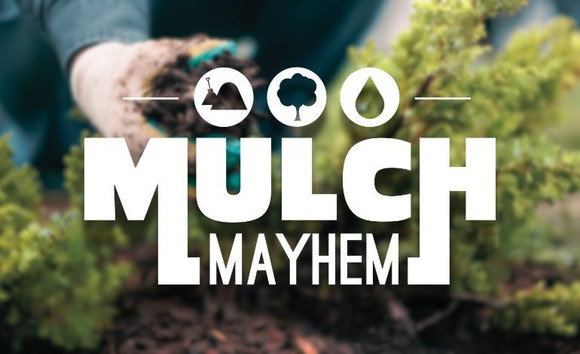 Blurred background of a gardener scooping mulch in their gloved hand. Text overlay reads, "Mulch Mayhem"