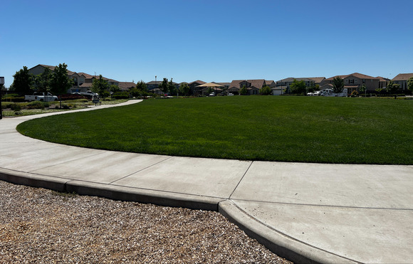 Open park with a neighborhood in the background