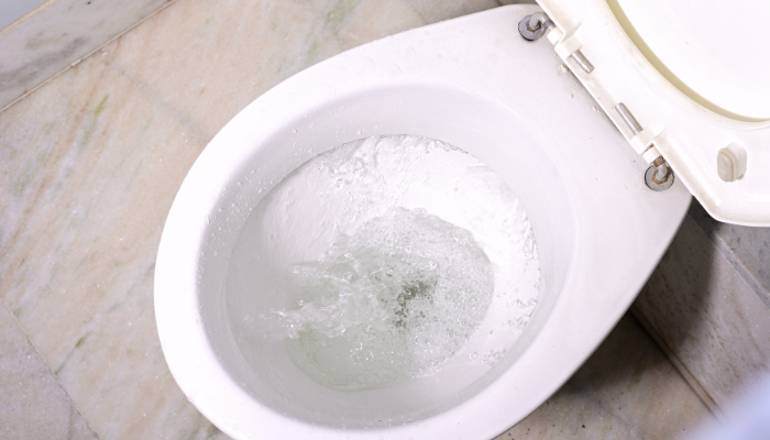 Photo of toilet bowl flushing