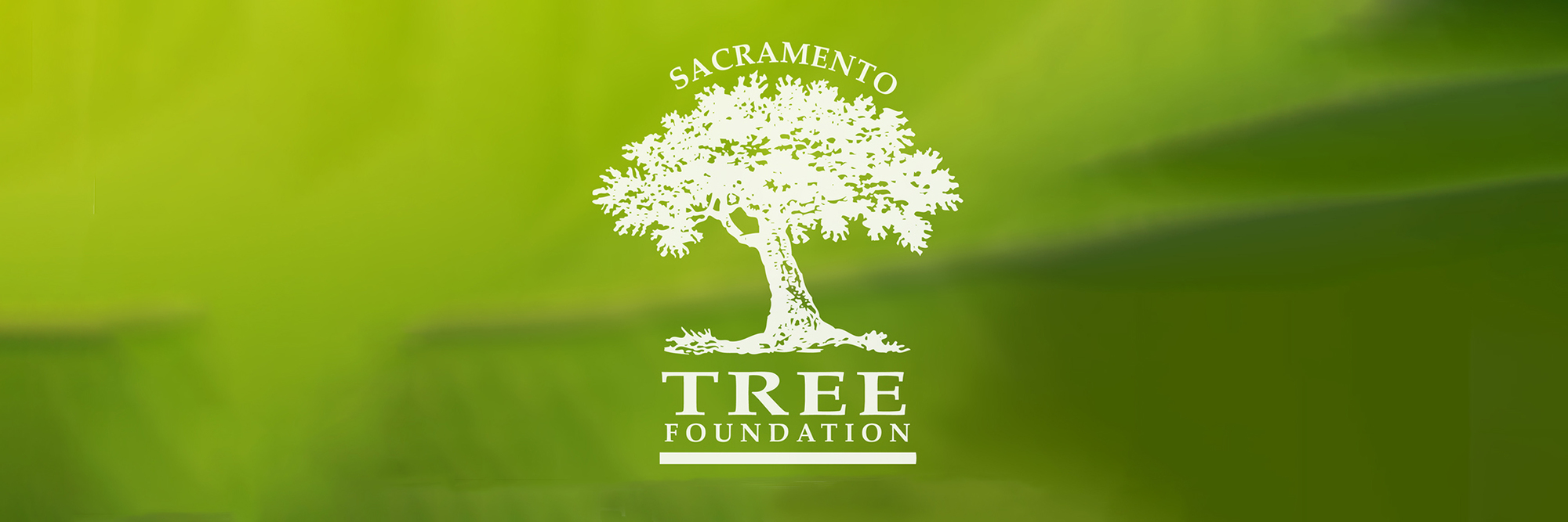 Sacramento Tree Foundation Logo