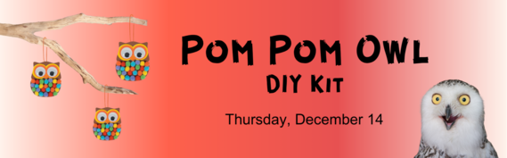 DIY Kit: Pom Pom Owl