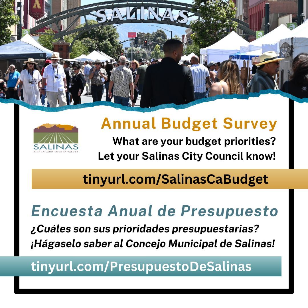 Budget Survey Graphic 2024