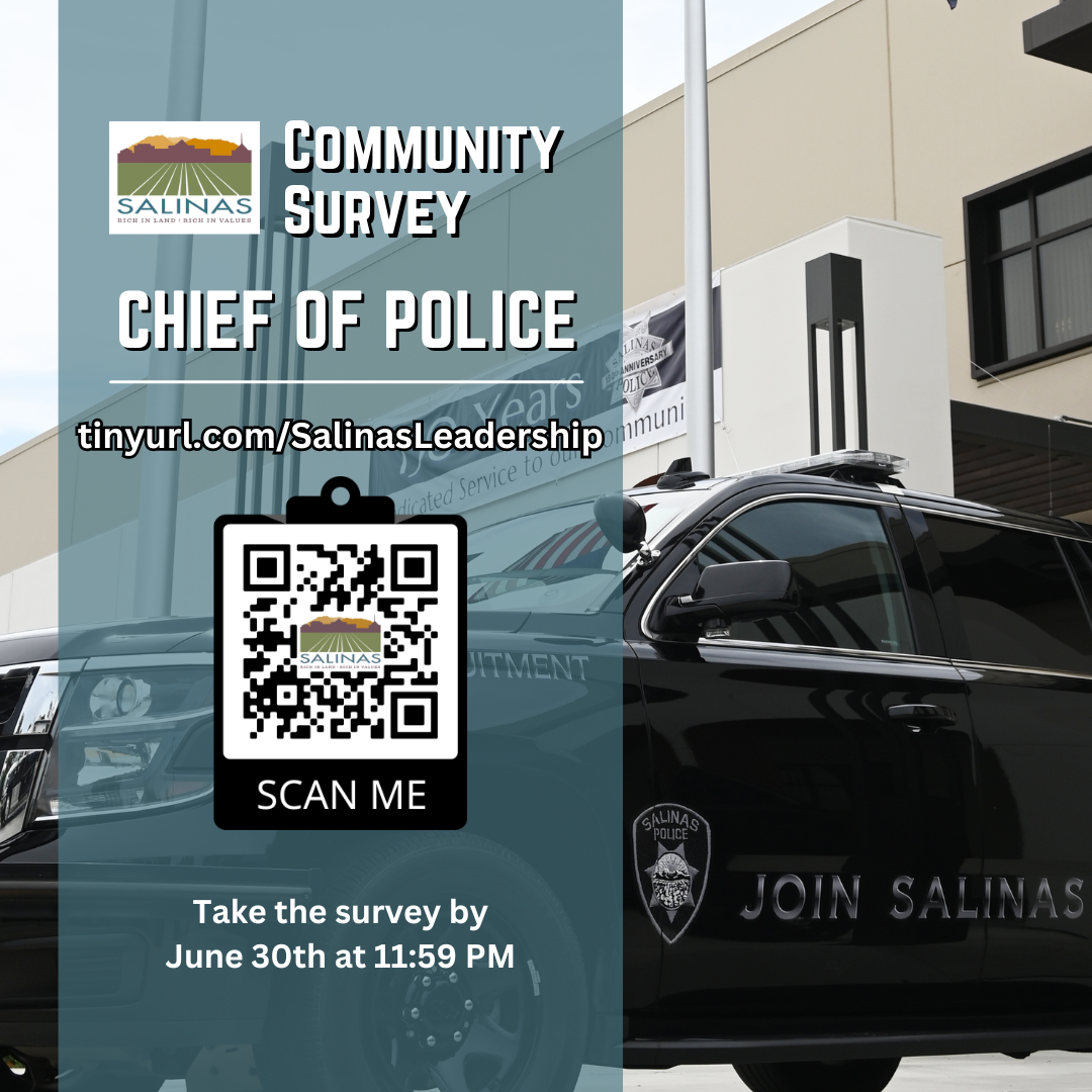 Chief survey in English