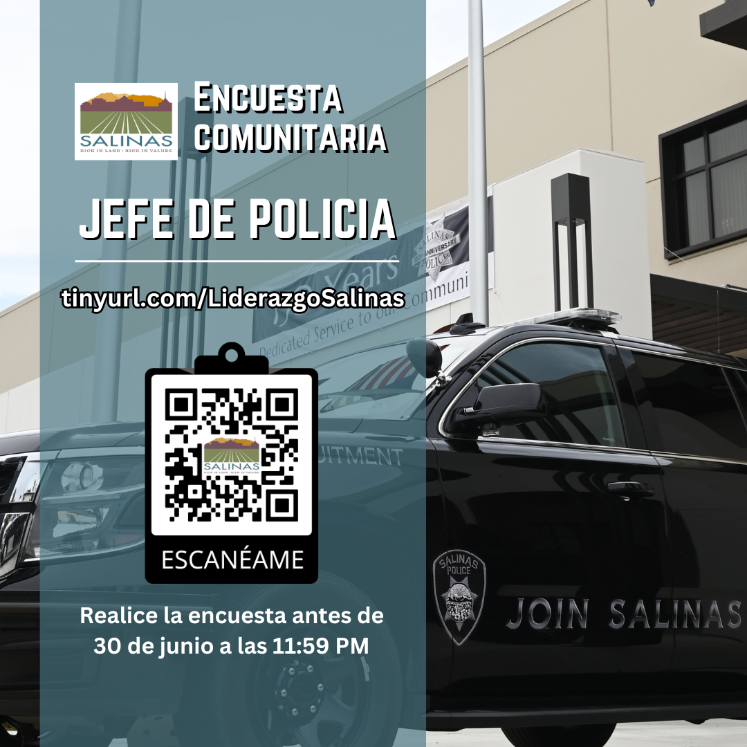 Chief Survey in Spanish