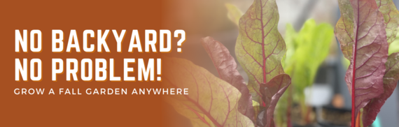 No Backyard? No Problem! Grow a Fall Garden Anywhere