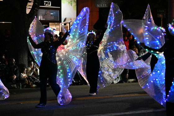 fairy dancers with light up wings