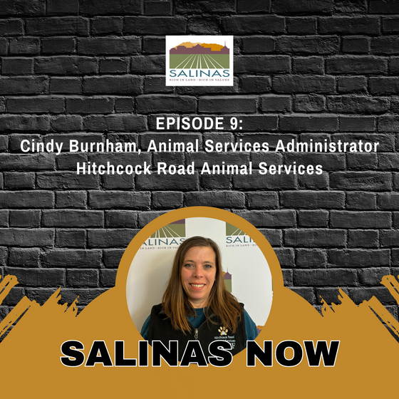 Salinas NOW Podcast flyer with a photo of Cindy Burnham from Hitchcock Road Animal Services