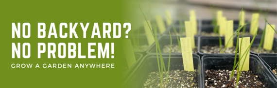 No Backyard? No Problem! Grow a garden anywhere