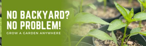 No Backyard? No Problem! Grow a garden anywhere