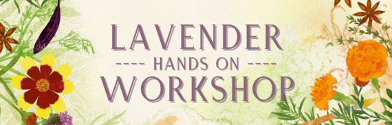 Lavender Hands On Workshop