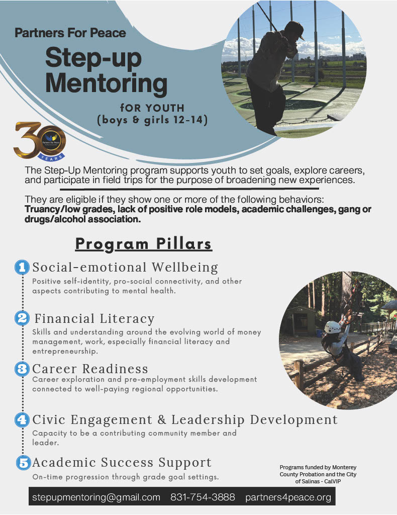 Mentoring Partners for Peace Opportunity