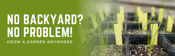 Text on green background: 'NO BACKYARD? NO PROBLEM! GROW A GARDEN ANYWHERE' with pots of sprouts and labels.