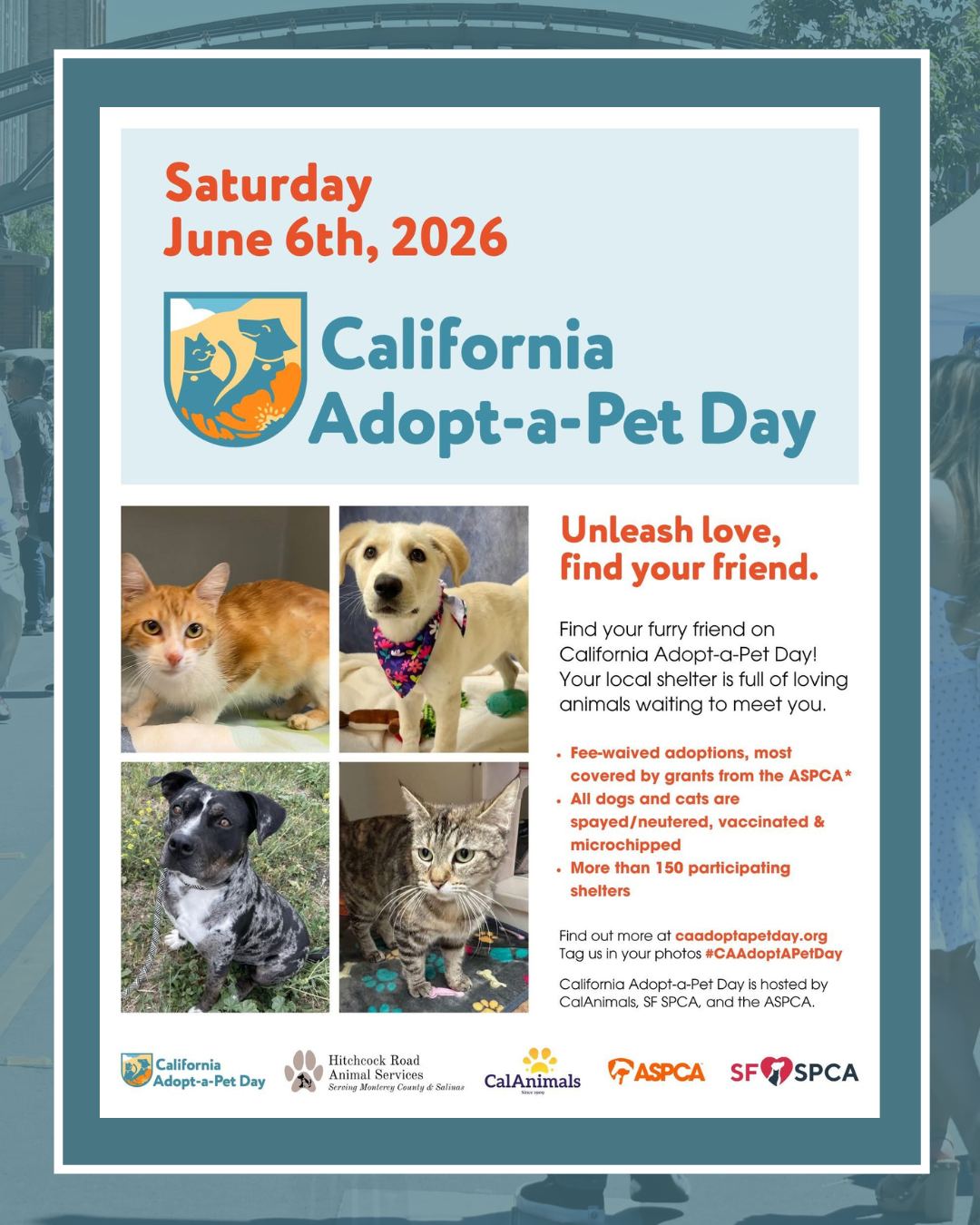 California Adopt-a-pet-day flyer, free pet adoptions, June 6th Hitchcock Road Animal Shelter
