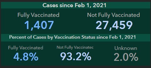 Vaccine dashboard feature 1