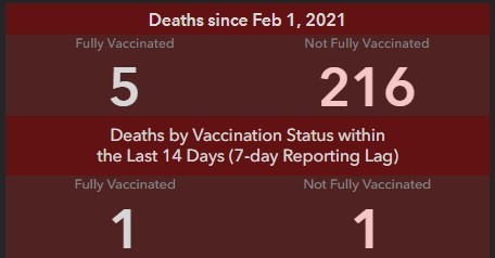 vaccine dashboard feature 2