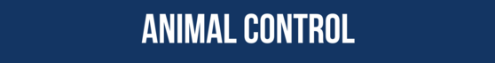 animal control