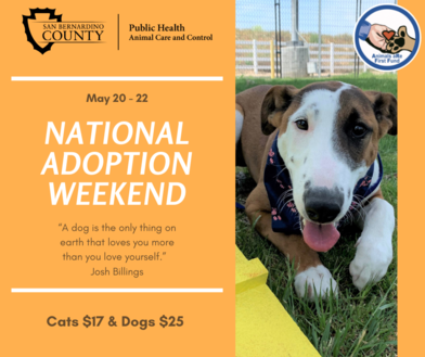 National Pet Adoption