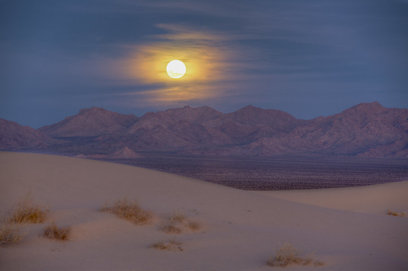 mojave trails