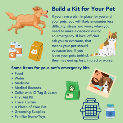 A graphic of items to include in an emergency kit for pets.