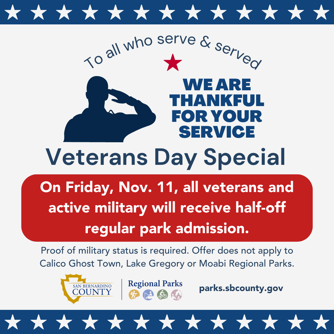 A graphic with a soldier saluting and stars saying Veterans Day Special admission at Regional Parks.