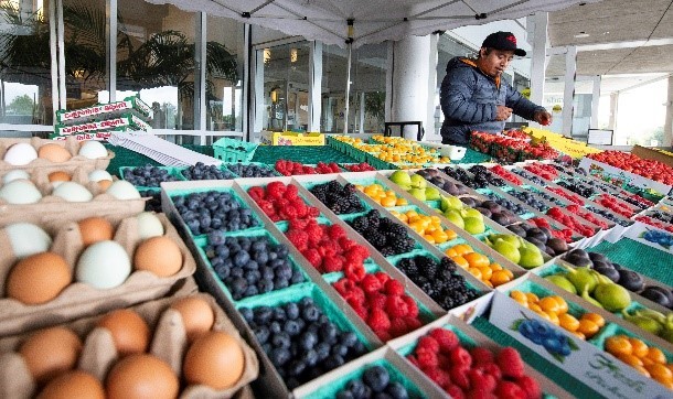A man is seen behind a table with fresh eggs, fruits and vegetables at a Farmers Market at ARMC.