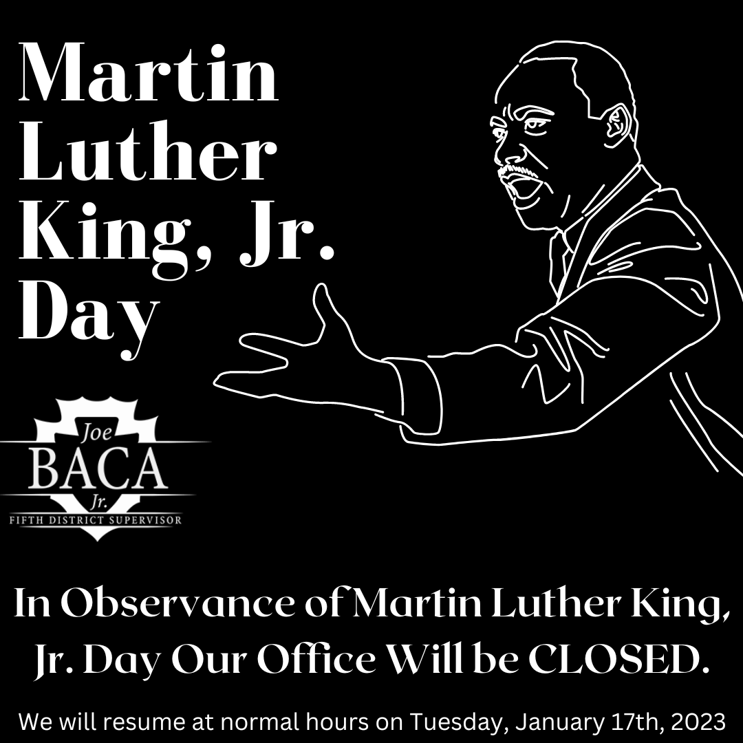 MLK DAY