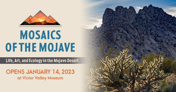 Mosaics of the Mojave