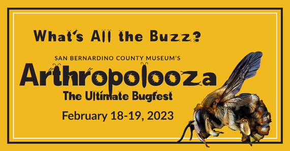 Arthropolooza: The Ultimate Bugfest - Redlands