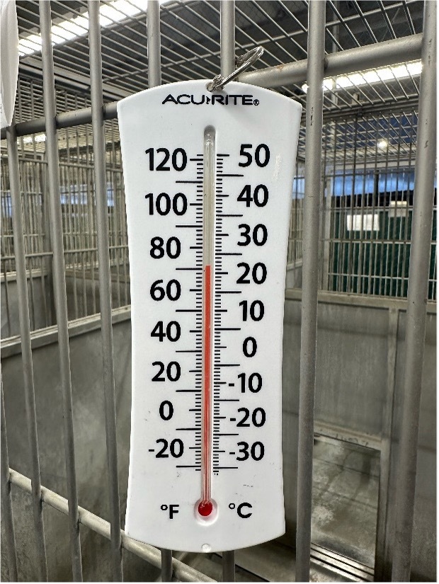Thermometer shows temperature inside animal shelter 