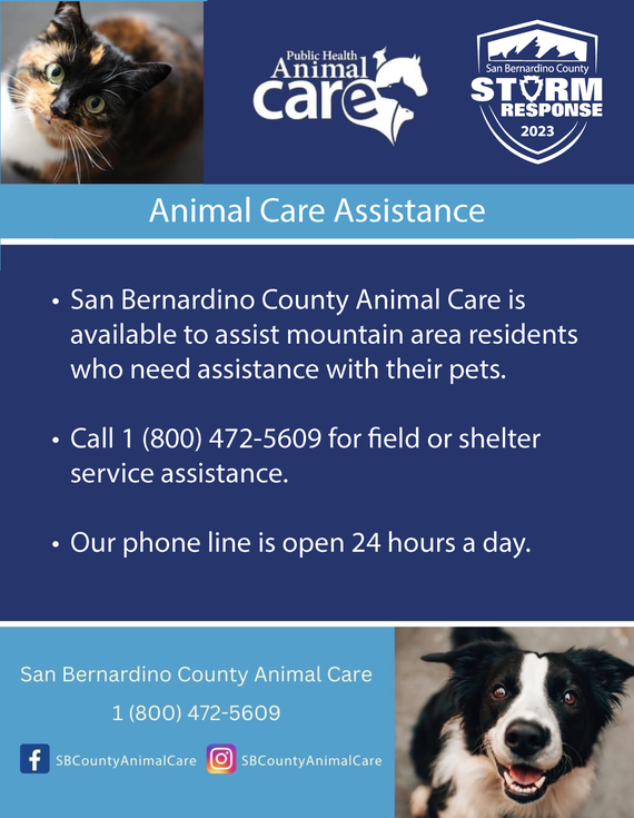 animal care 3-5-23