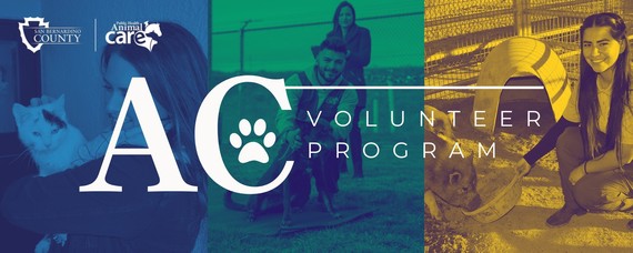 Animal Care Volunteer Program
