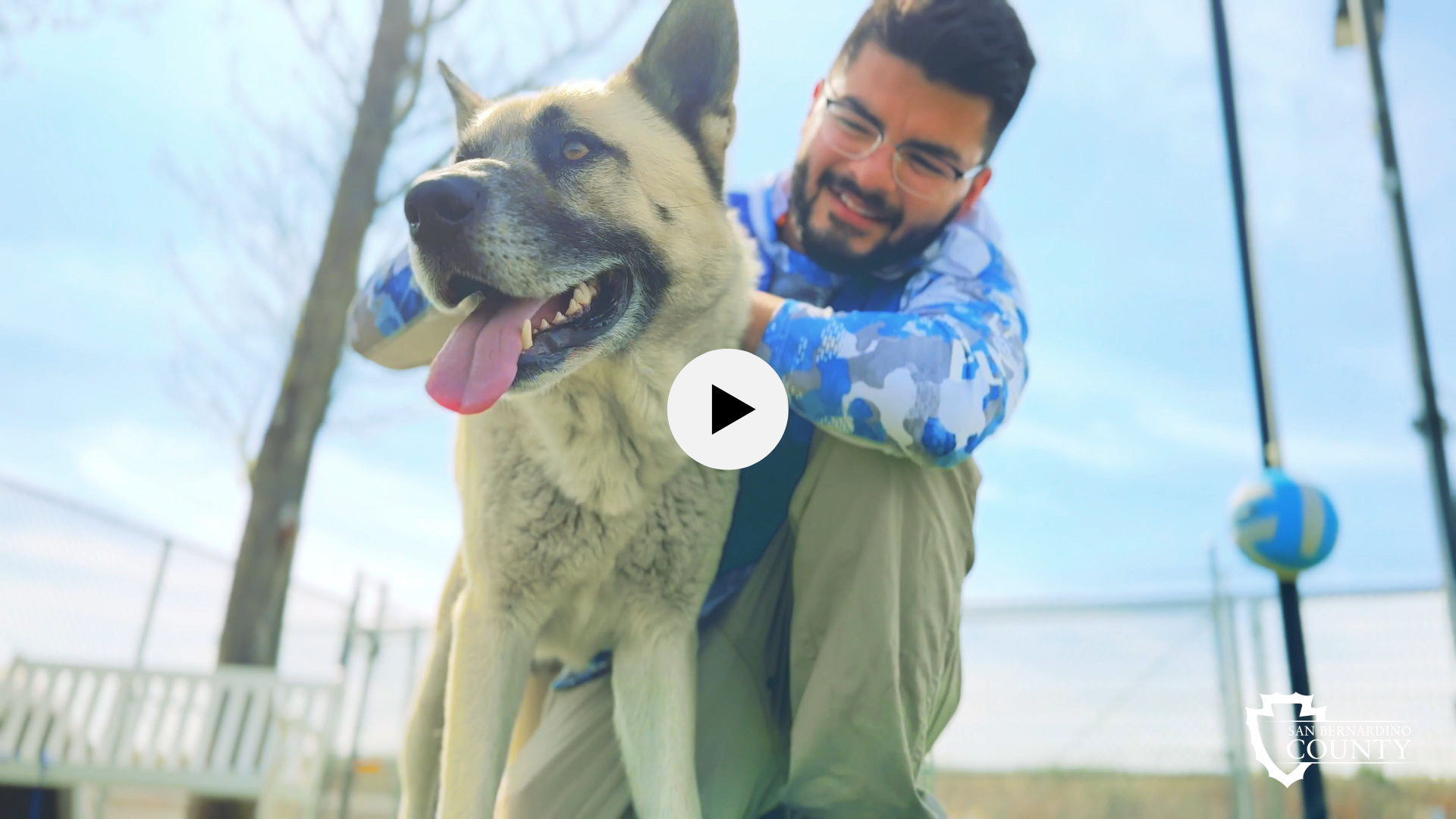 Pet of the Week: Daus