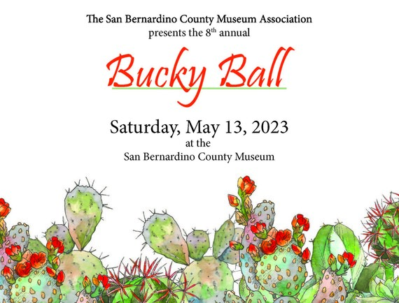 Bucky Ball Invite
