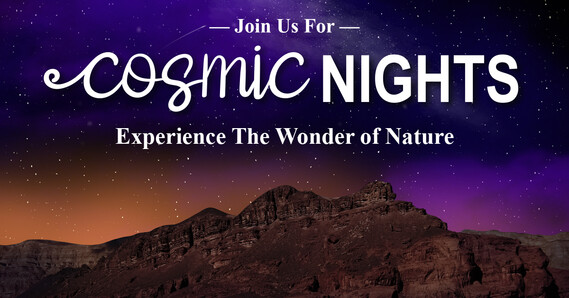 Calling all stargazers! Museum Cosmic Nights returns
