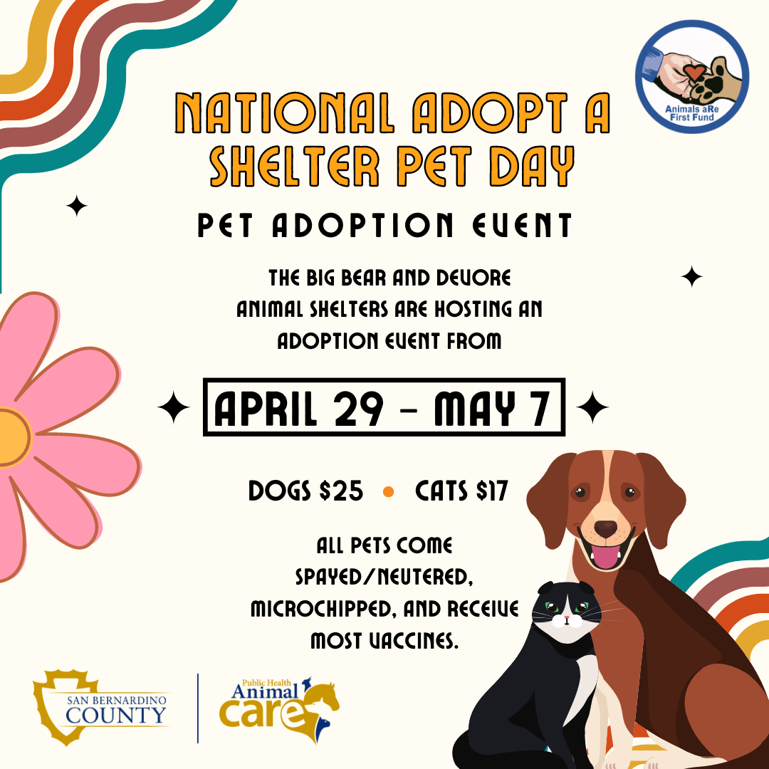 Animal Care launches “National Adopt a Shelter Pet Day” adoption event