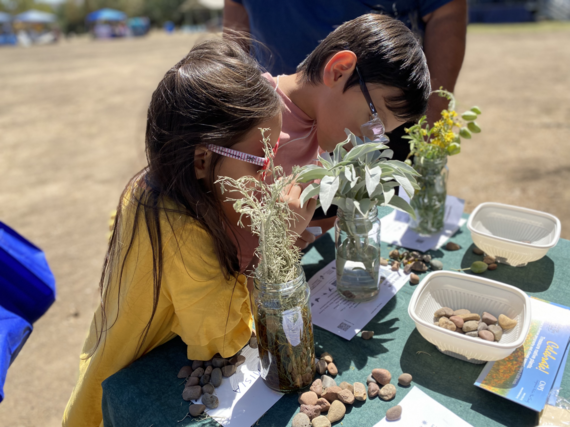 A young girl and boy sniff native plants and flowers at the Native Plant Society booth at the FFWF in 2022 at Prado.