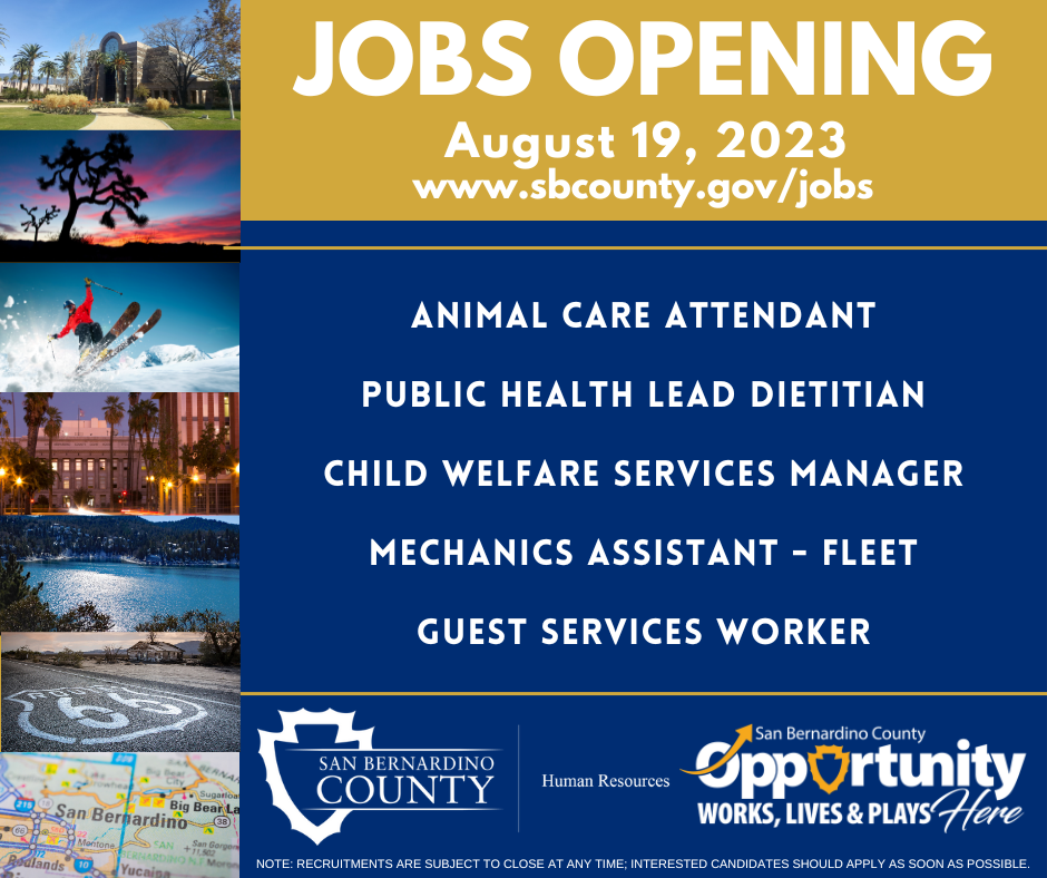 A graphic listing all the upcoming job openings starting on Saturday, Aug. 19. 