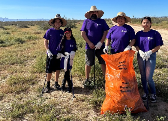 Hesperia cleanup