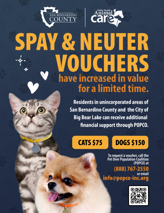 spay and neuter