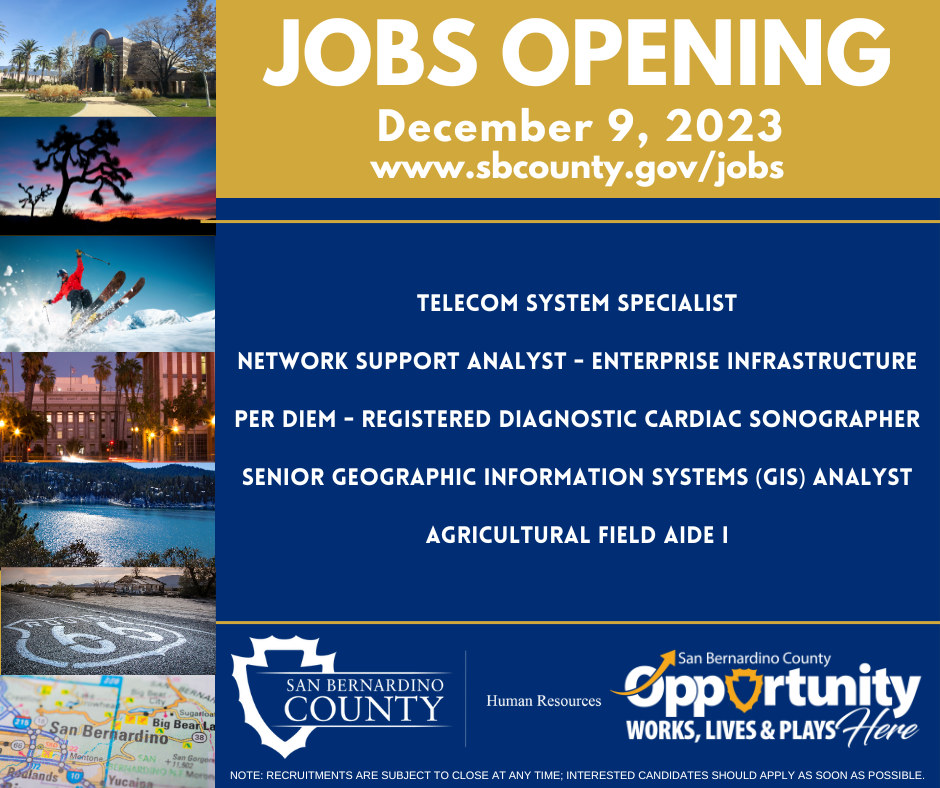 Jobs of the Week - Dec. 9