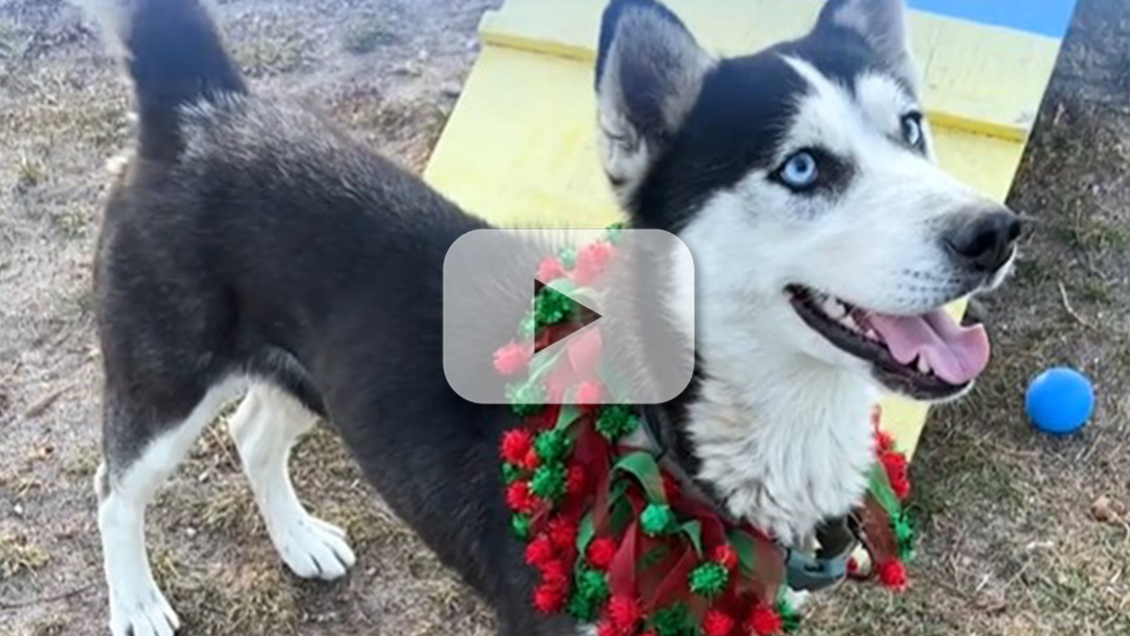 San Bernardino County Update Dec. 15, 2023