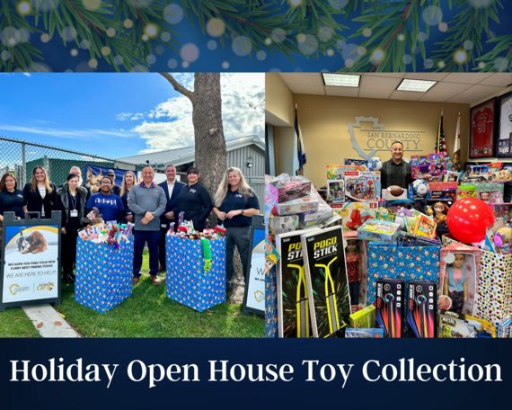 Holiday Open House Toy Collection